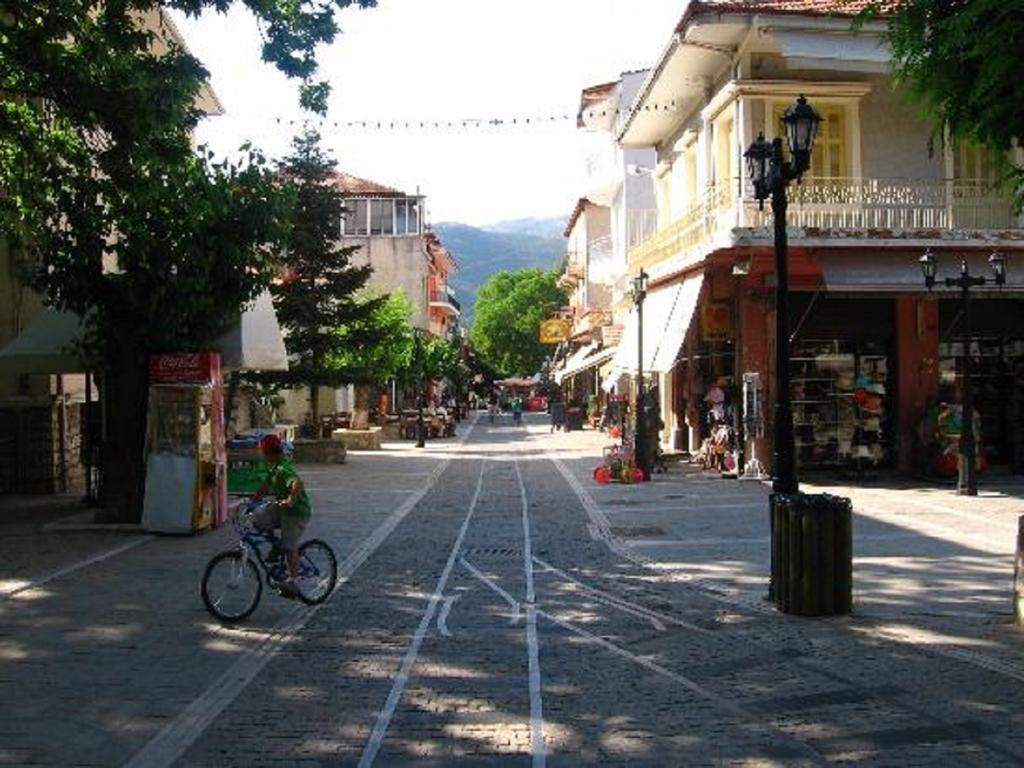 Apartmán Xylino Chalet Kalavryta Exteriér fotografie